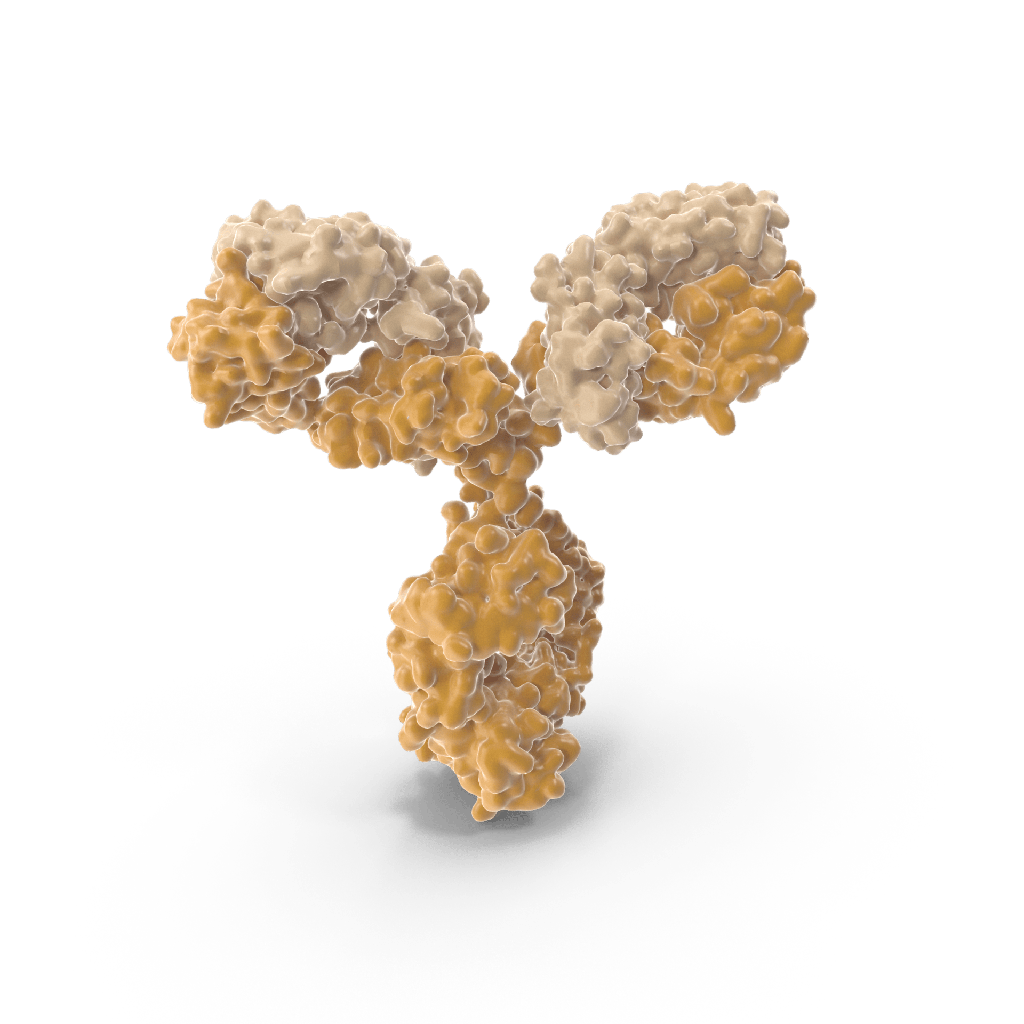 BIOTIN*Monoclonal Mouse Anti-Pig IgG
