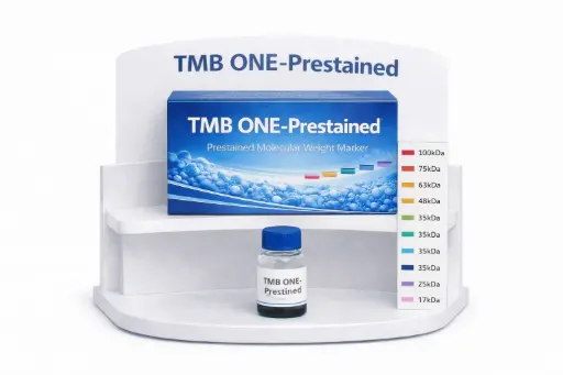 [4430L] TMB ONE-Prestained