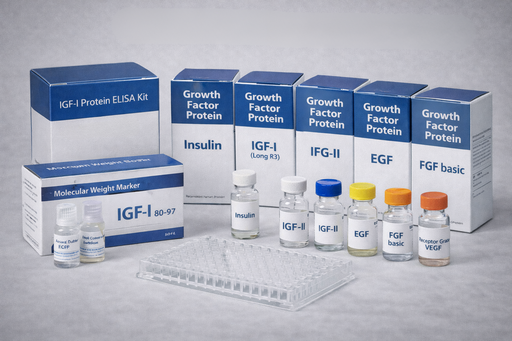 [OU100] Human IGF-II (Media Grade)